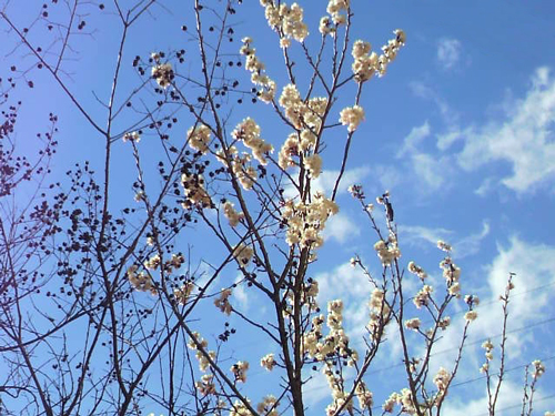2011030214210000