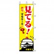 J99-703　既製のぼり「見てる！から守るルール？」