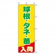 J-20　既製のぼり「球根・タネ・苗入荷」